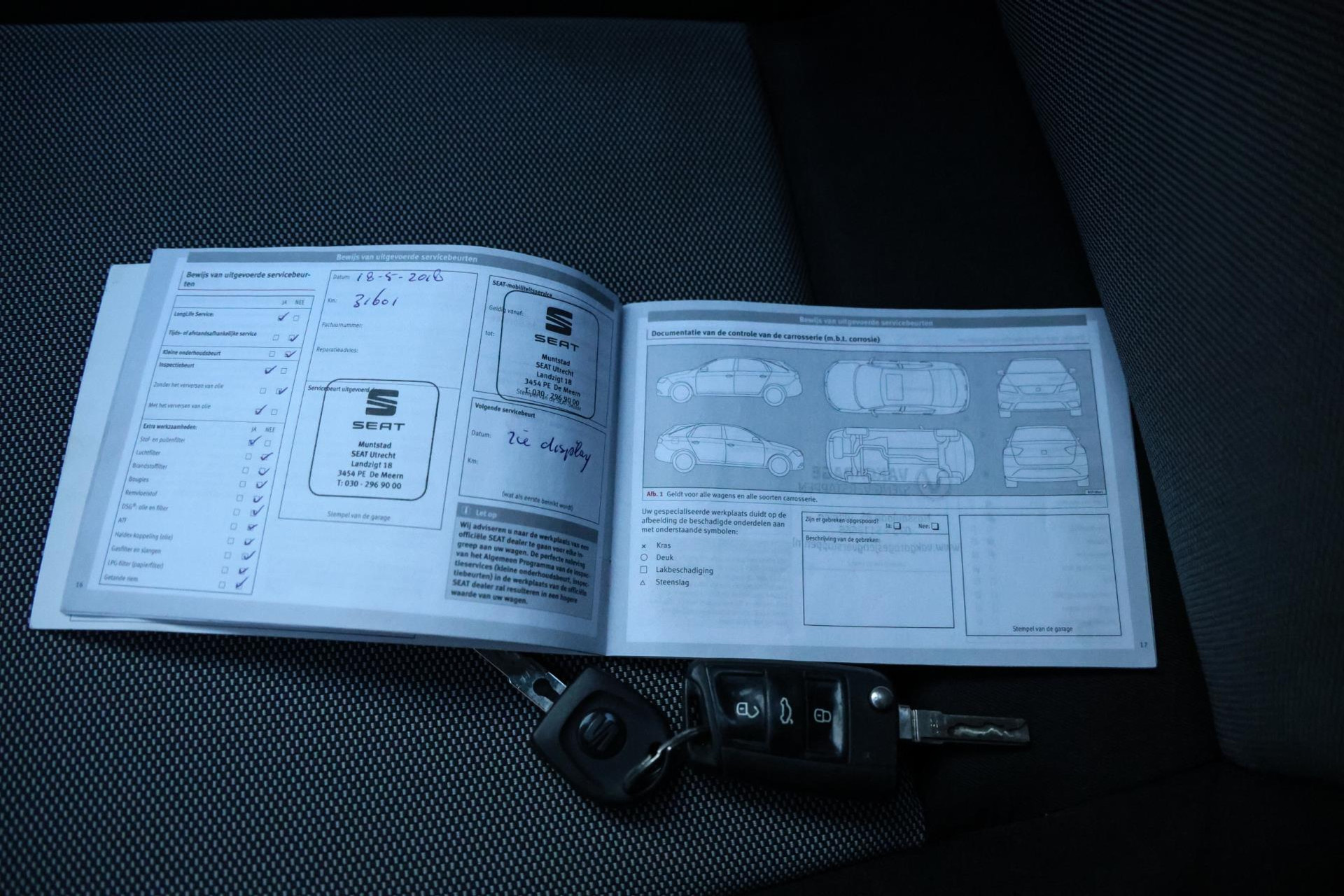 44325258-27.jpg