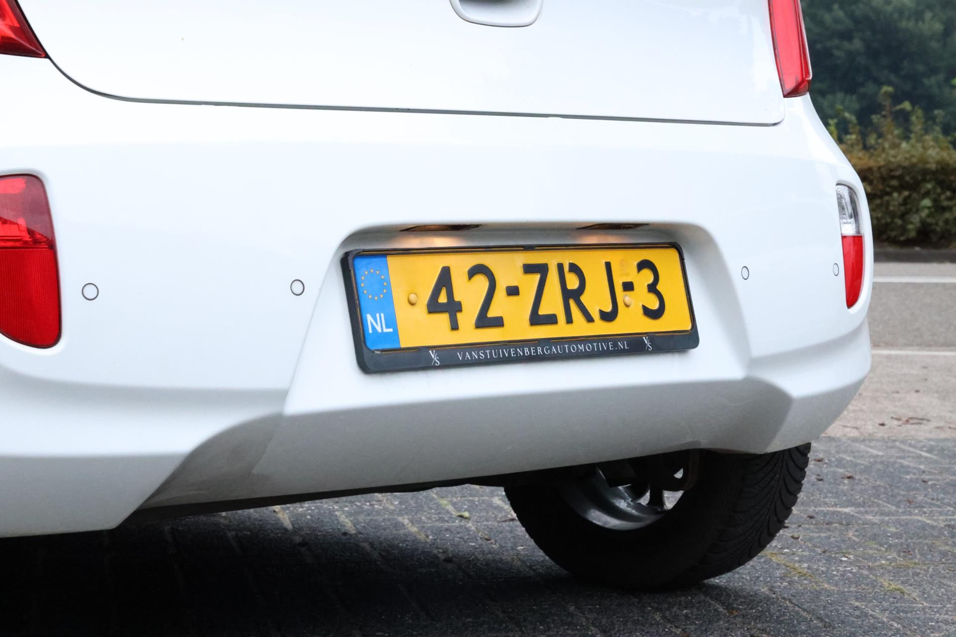 47908864-8.jpg