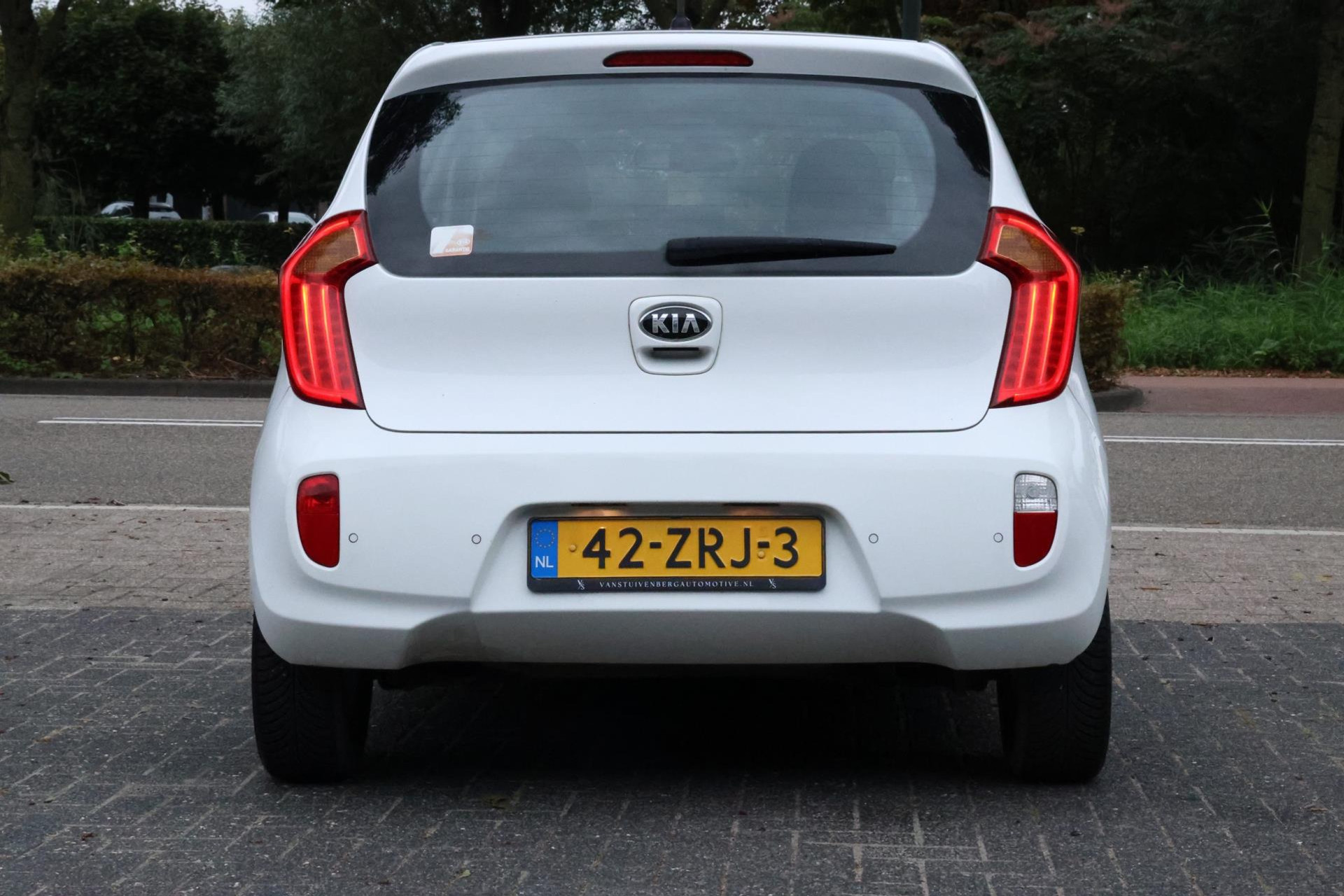 47908864-9.jpg